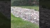 Ένα ποτάμι από σκουπίδια στην Ινδία