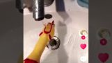 Ένα λαστιχένιο κοτόπουλο πνίγεται