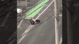 Wild boar attacks pedestrian (Japan)