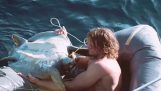 Απελευθέρωση τεσσάρων χελωνών που παγιδεύτηκαν σε δίχτυ