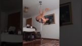Pole dance στο σπίτι