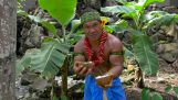 Hur till xefloydiseis och öppna en kokosnöt