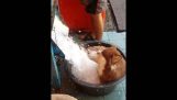 Un bagno rinfrescante per Husky