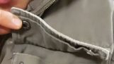 En galago stikker ud af en lomme