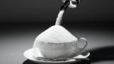 What happens to our body when we stop eating sugar