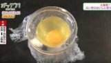 Siitosmunien muna ilman kuori