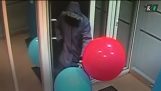 اللص مع البالونات