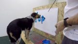 Jumpy câine scrie numele lui