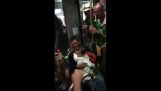 Irische Fans singen Wiegenlied für ein baby