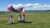 Jonge kinderen tegen de kite
