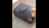 Ο μετανάστης στη βαλίτσα
