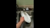 Pranje sudova, kada živite sa cimera