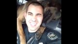 Ένας πολύ χαδιάρης αστυνομικός σκύλος