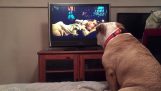 Σκύλος προειδοποιεί την πρωταγωνίστρια σε ταινία τρόμου