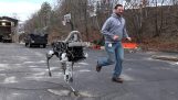 Lugar: Un nuevo robot de Boston Dynamics de cuatro patas