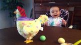 A baby is startled with the hen and the eggs
