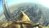 Орел прави спускане от небостъргач Бурж Халифа
