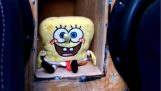 SpongeBob Kanciastoporty w głośnik niskotonowy