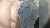 Εκπληκτικό τρισδιάστατο τατουάζ