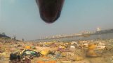 Z očí toulavého psa v Bombaji