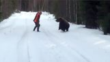 Quando você atacar um urso…