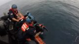 De coast guard redt twee schildpadden