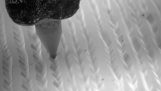 Ένας δίσκος βινυλίου κάτω από το ηλεκτρονικό μικροσκόπιο