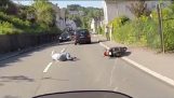 Motocyklista podkradanie się pod zwierza przewodnik, który uciekł scenę wypadku