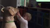 बच्चे के साथ खेलने के लिए मना कर कुत्ते