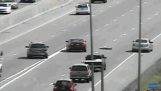 Μια πάπια με τα παπάκια της διασχίζουν τον επικίνδυνο αυτοκινητόδρομο