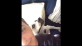 La posa di cane per selfie