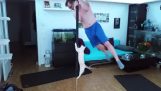 Pole Dance samen met een kat