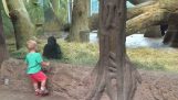Egy kisfiú és egy gorilla játszik az állatkertben