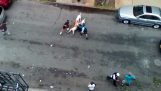 Dois pitbulls descontrolados, atacando as pessoas
