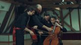 Four musicians on a cello