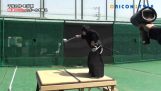 The samurai and the ball of baseball