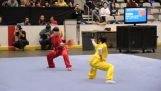 An impressive demonstration of Kung-Fu
