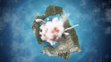 L'histoire de l'éruption de Santorin