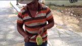 Grote mango snijden stijl