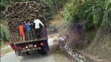 Børn stjæle sukkerrør fra en trailer (Vietnam)