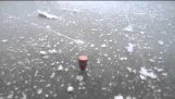 Предене куршум на лед земята