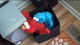 Elmo ve Cookie Monster birlikte iyi vakit geçiriyor