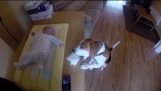 Cão bonito ajuda a fralda mudança do bebê