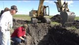 Mammut utgrävning nära Chelsea, Michigan