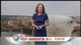 When A Giant Seagull Bombards Your Weather Report
