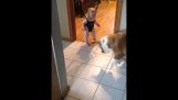 No. THIS is how you jump, little human