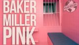 Baker-Miller vaaleanpunainen