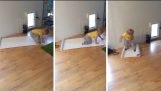 Hilarious Toddler Struggles With Wrapping Paper
