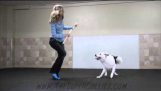 Boogie Shoes Canine Freestyle Routine!