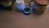 Echo/Google Domov nekonečnej slučke
